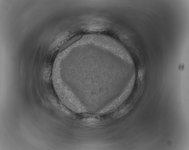 X0000111651300200908071357