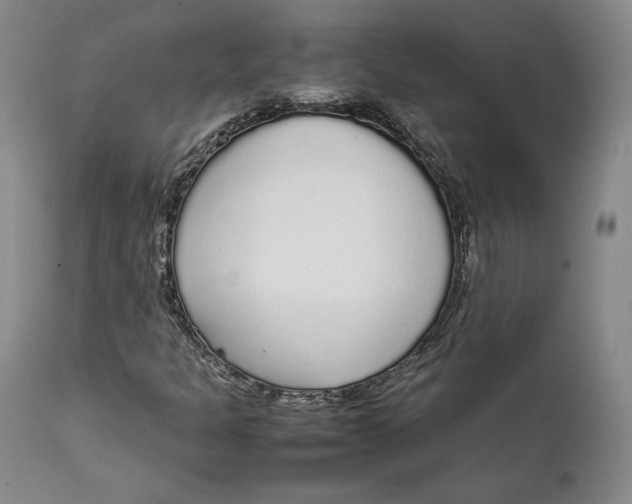 X0000111651301200908071357