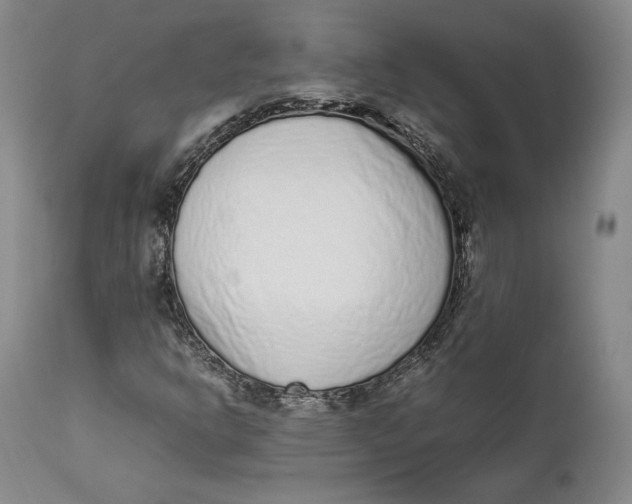 X0000111651302200908071357