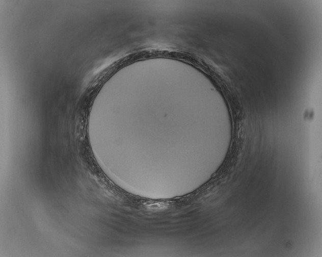X0000111651303200908071357