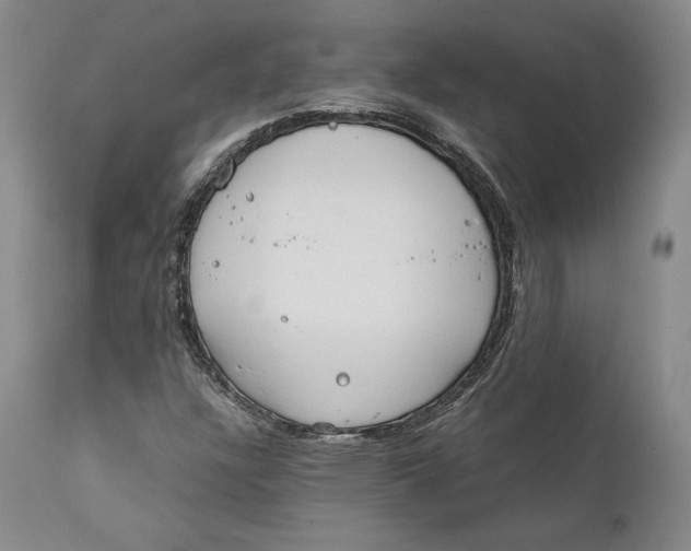 X0000111651304200908071357