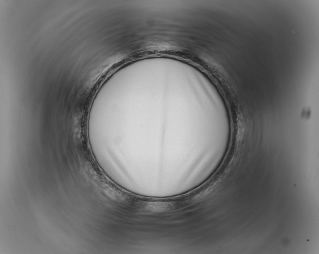 X0000111651305200908071357