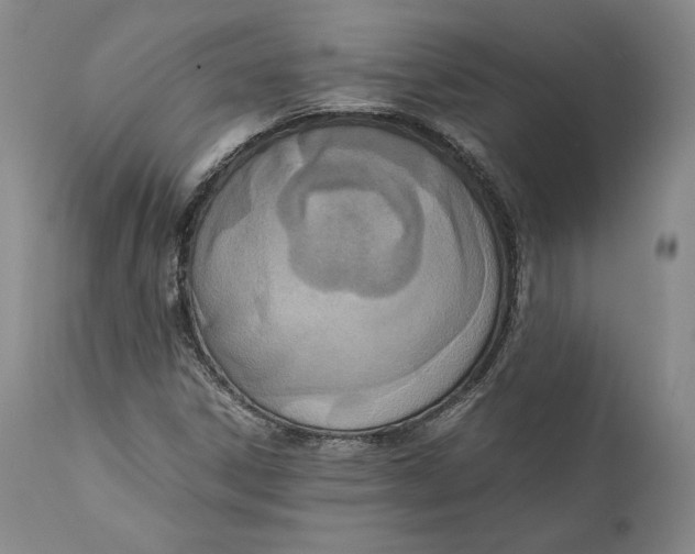 X0000111651306200908071357