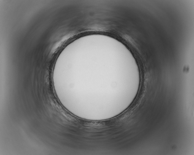 X0000111651307200908071357