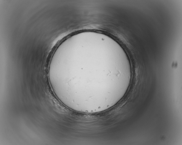 X0000111651308200908071358