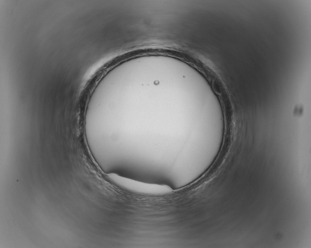 X0000111651310200908071358