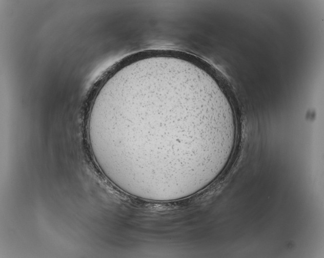 X0000111651311200908071358