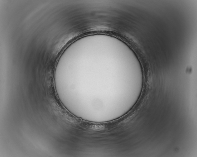 X0000111651313200908071358