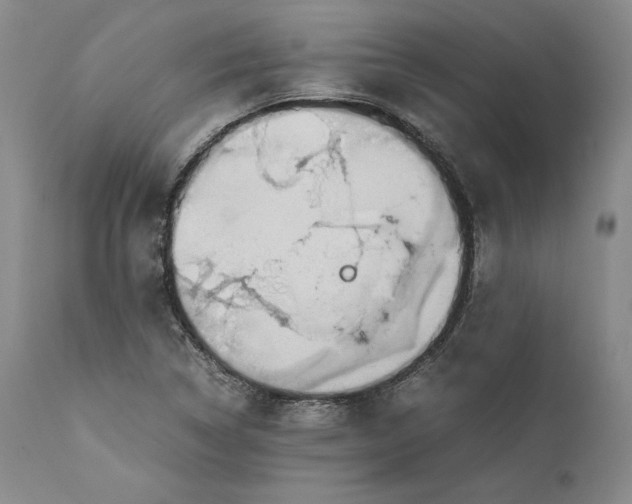 X0000111651314200908071358