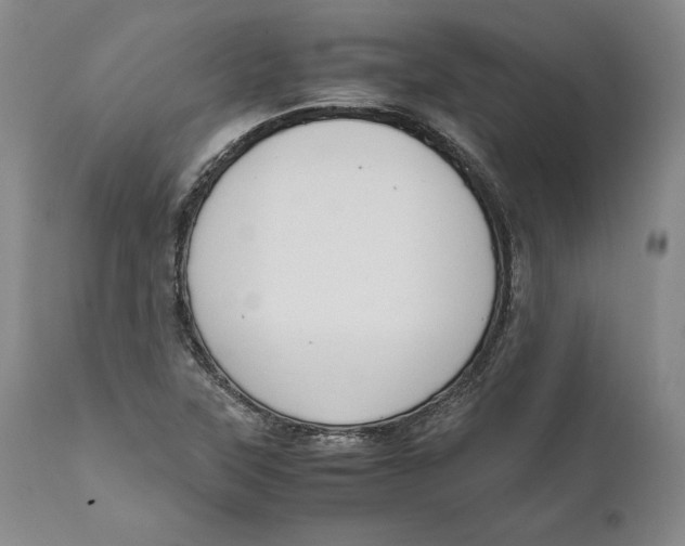 X0000111651315200908071358