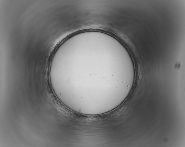 X0000111651316200908071358