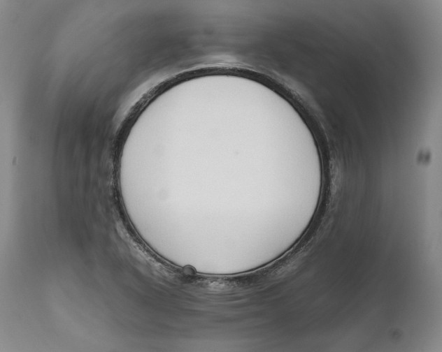 X0000111651318200908071358