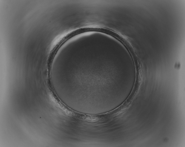 X0000111651319200908071358