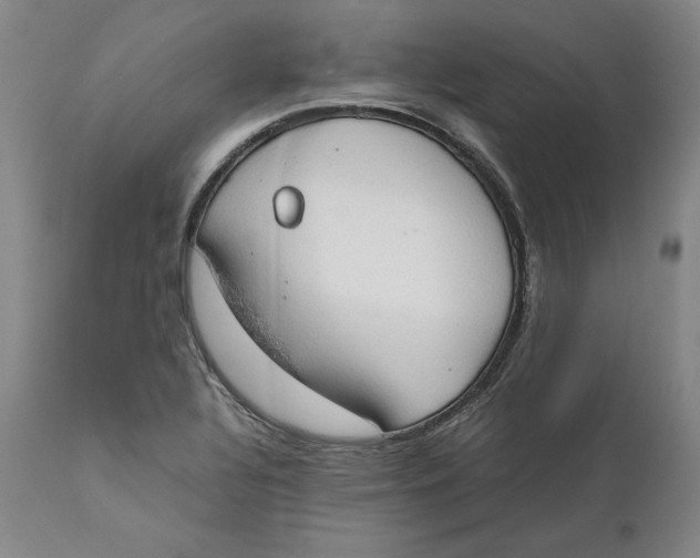 X0000111651320200908071358