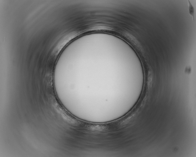 X0000111651321200908071358