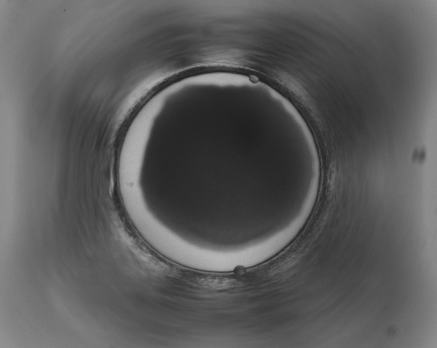 X0000111651323200908071358