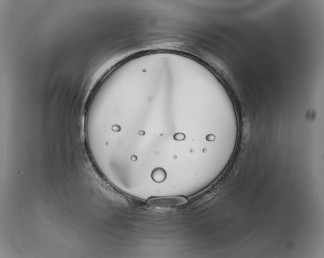 X0000111651324200908071358