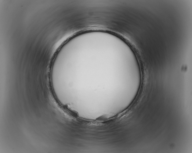 X0000111651325200908071358