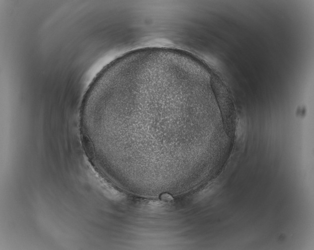 X0000111651326200908071358