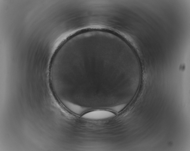 X0000111651327200908071358