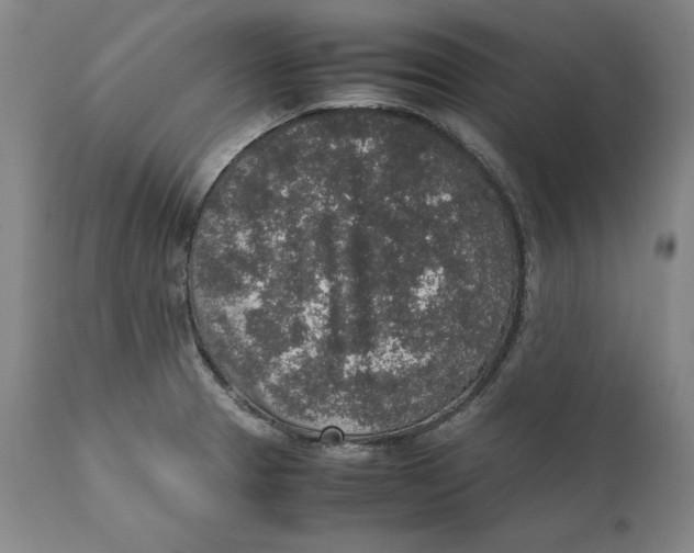 X0000111651329200908071358