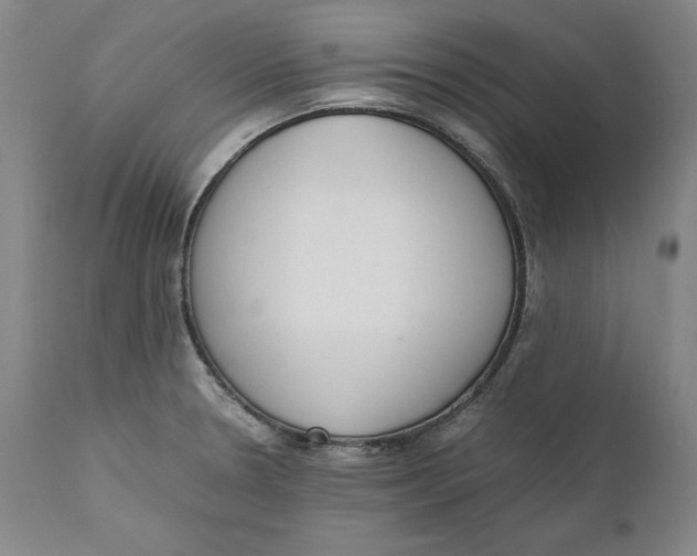 X0000111651330200908071358