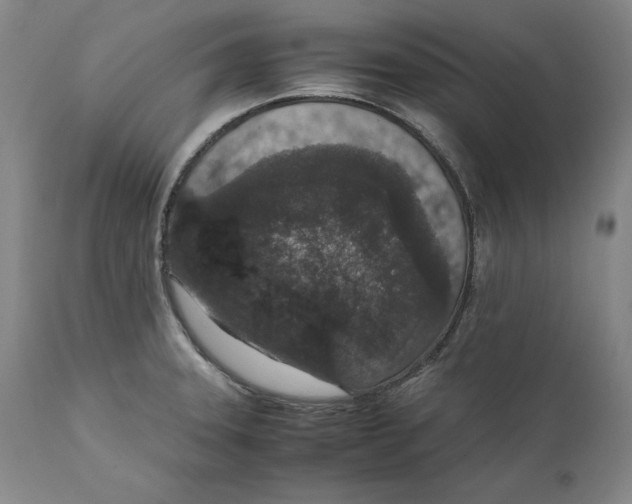 X0000111651331200908071358