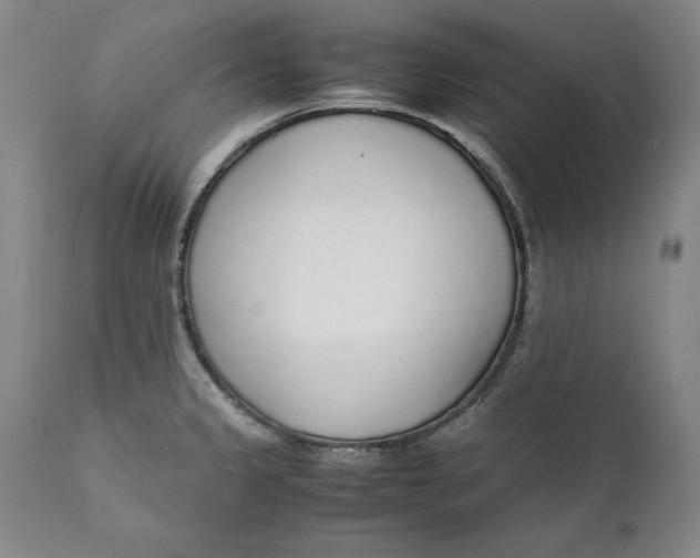 X0000111651333200908071358