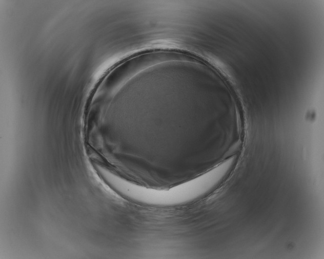 X0000111651334200908071358