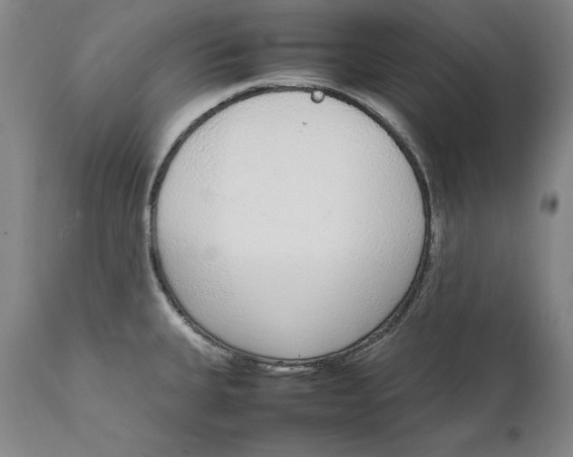 X0000111651335200908071358