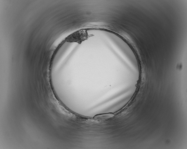 X0000111651336200908071358