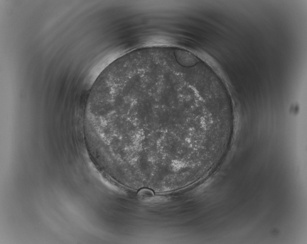 X0000111651337200908071358