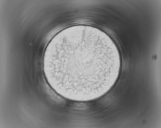 X0000111651338200908071358