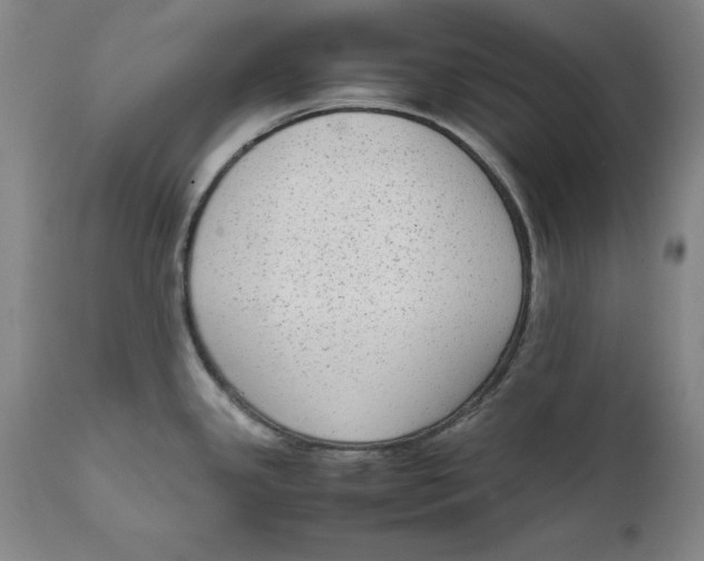 X0000111651341200908071358