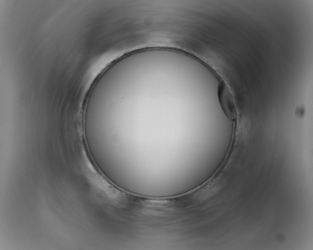 X0000111651342200908071358