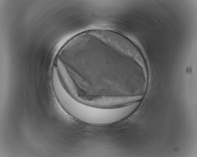X0000111651344200908071358