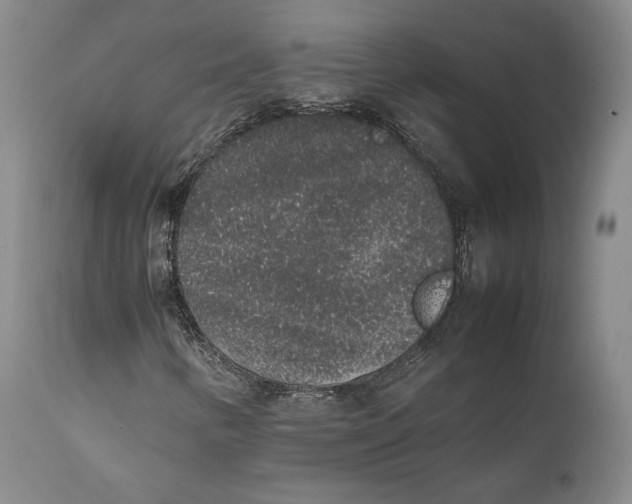 X0000111651346200908071357