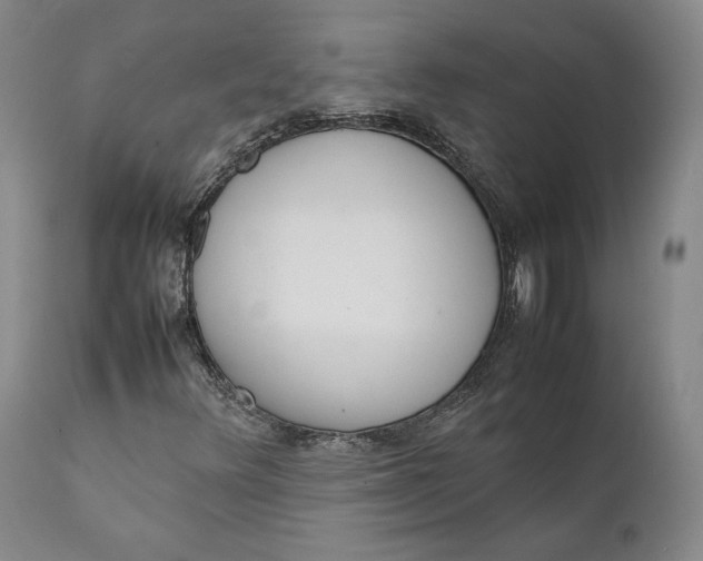 X0000111651348200908071357