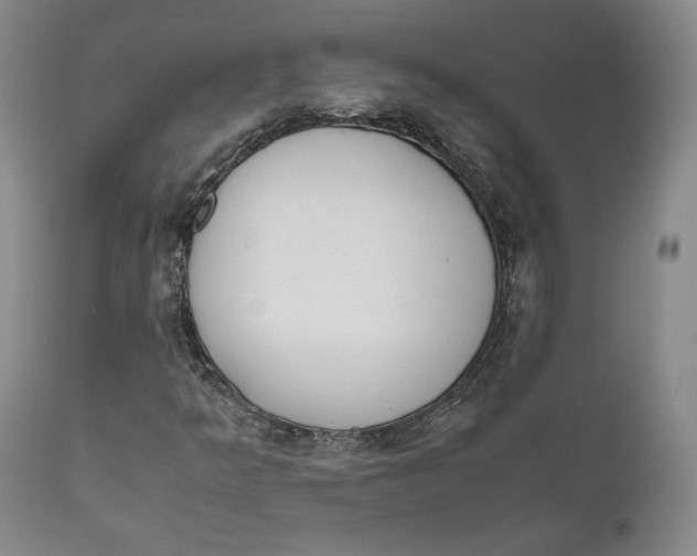 X0000111651349200908071357