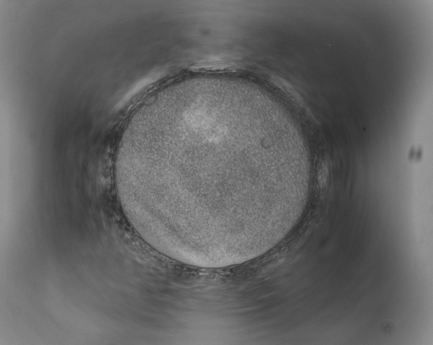 X0000111651350200908071357