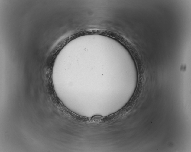 X0000111651351200908071357