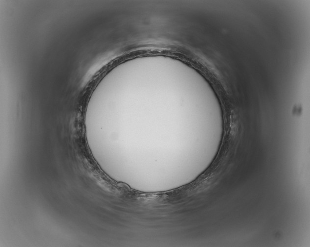 X0000111651352200908071357