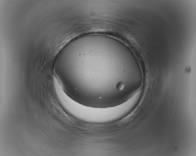 X0000111651353200908071357