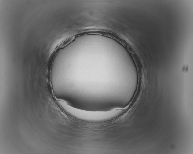 X0000111651357200908071357