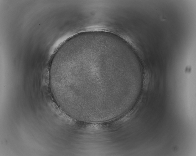 X0000111651358200908071357