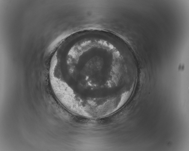 X0000111651359200908071357