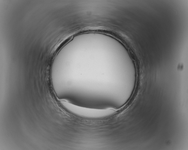 X0000111651361200908071357