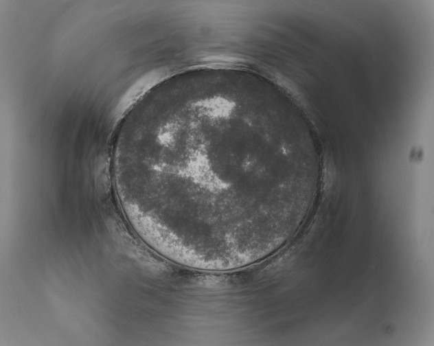 X0000111651362200908071357