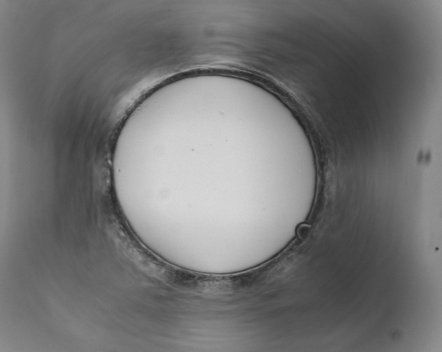 X0000111651363200908071357