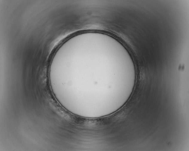 X0000111651364200908071357